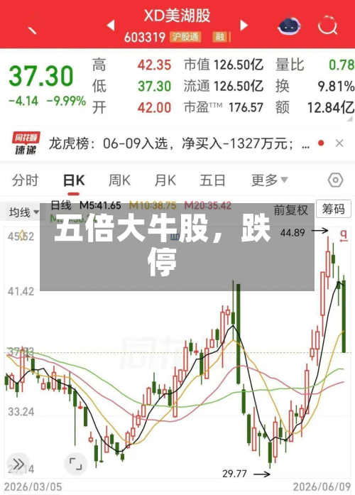 五倍大牛股，跌停-第2张图片