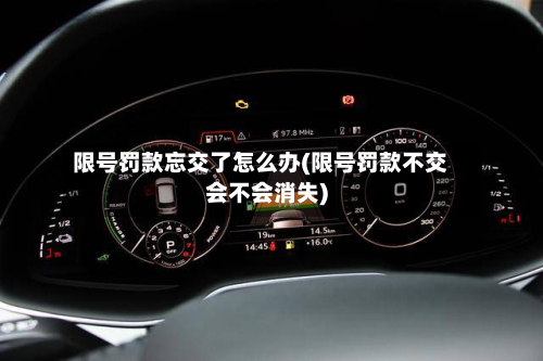 限号罚款忘交了怎么办(限号罚款不交会不会消失)-第1张图片