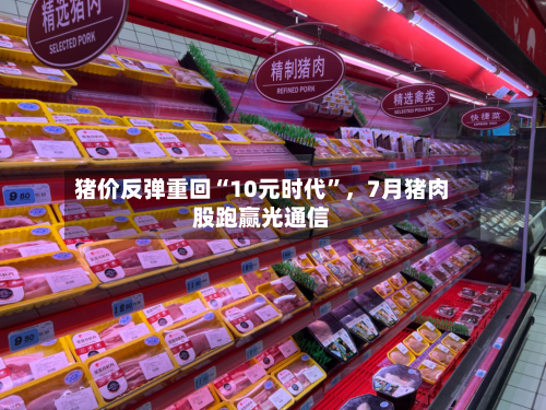 猪价反弹重回“10元时代”，7月猪肉股跑赢光通信