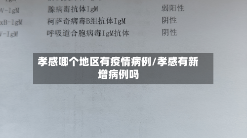 孝感哪个地区有疫情病例/孝感有新增病例吗-第1张图片