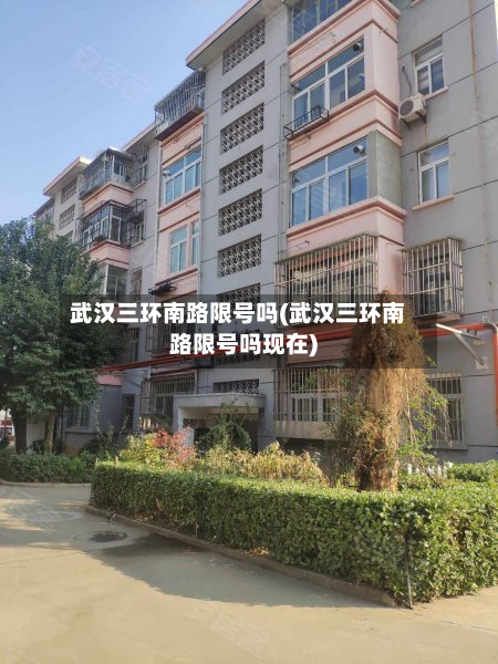 武汉三环南路限号吗(武汉三环南路限号吗现在)-第2张图片