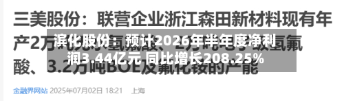 滨化股份:预计2026年半年度净利润3.44亿元 同比增长208.25%-第1张图片