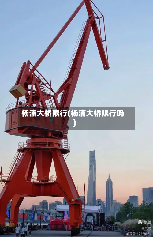 杨浦大桥限行(杨浦大桥限行吗)-第3张图片