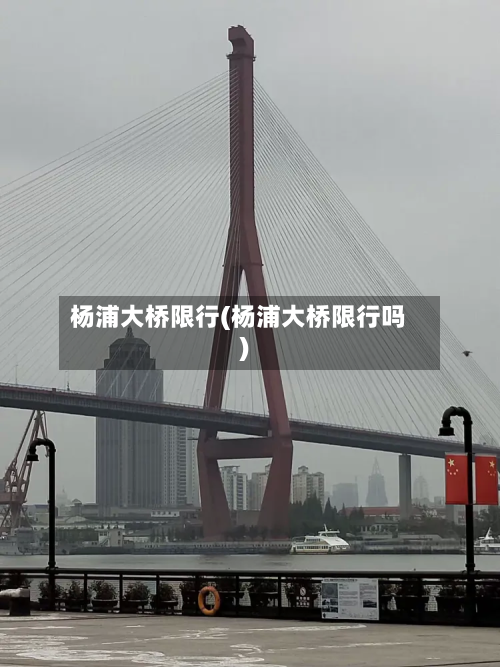 杨浦大桥限行(杨浦大桥限行吗)-第2张图片