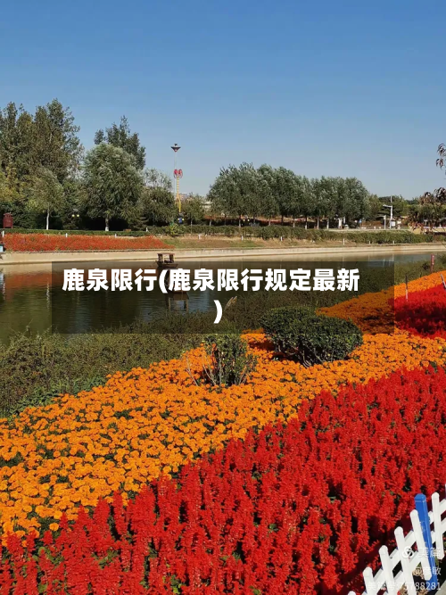鹿泉限行(鹿泉限行规定最新)-第3张图片