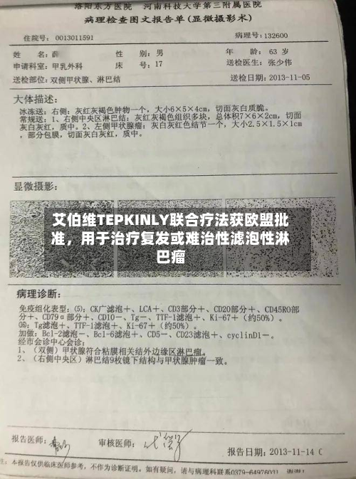 艾伯维TEPKINLY联合疗法获欧盟批准，用于治疗复发或难治性滤泡性淋巴瘤-第2张图片