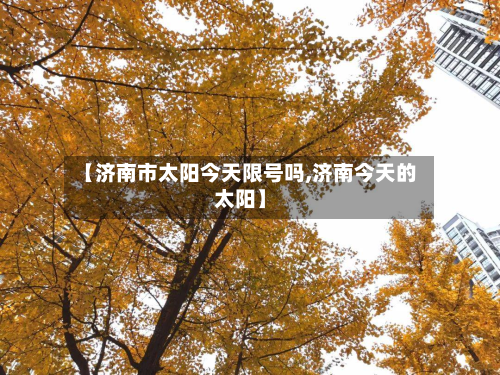 【济南市太阳今天限号吗,济南今天的太阳】-第2张图片
