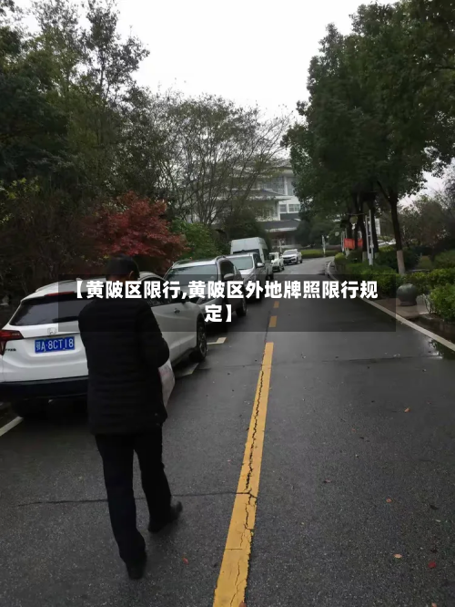 【黄陂区限行,黄陂区外地牌照限行规定】