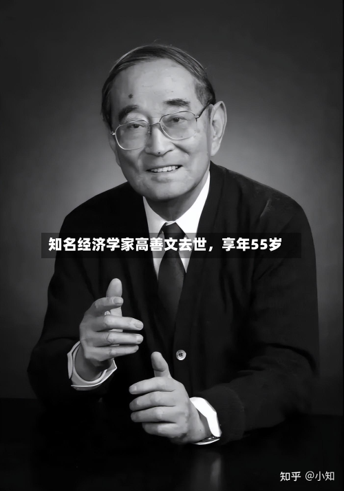 知名经济学家高善文去世，享年55岁-第2张图片