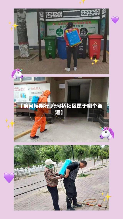 【府河桥限行,府河桥社区属于哪个街道】-第2张图片