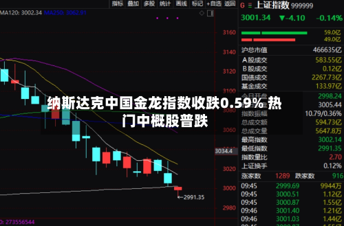 纳斯达克中国金龙指数收跌0.59% 热门中概股普跌