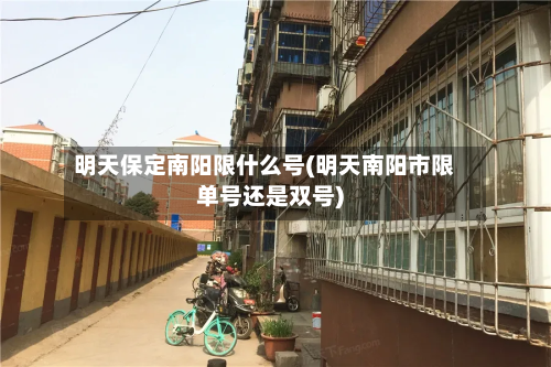 明天保定南阳限什么号(明天南阳市限单号还是双号)
