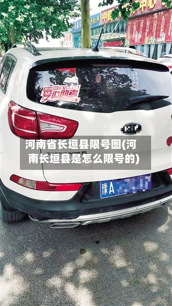 河南省长垣县限号图(河南长垣县是怎么限号的)-第1张图片