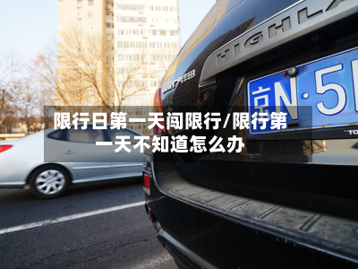 限行日第一天闯限行/限行第一天不知道怎么办