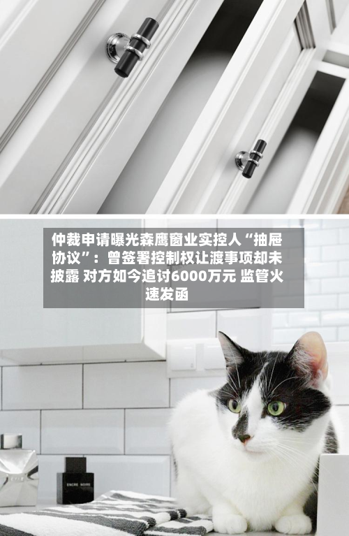 仲裁申请曝光森鹰窗业实控人“抽屉协议”：曾签署控制权让渡事项却未披露 对方如今追讨6000万元 监管火速发函