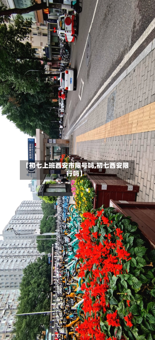 【初七上班西安市限号吗,初七西安限行吗】-第1张图片
