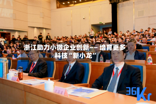 浙江助力小微企业创新—— 培育更多科技“新小龙”-第3张图片