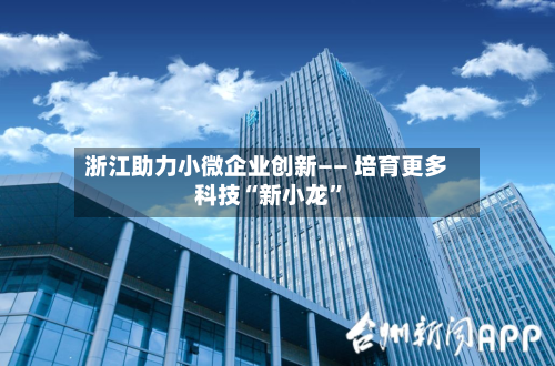 浙江助力小微企业创新—— 培育更多科技“新小龙”-第2张图片