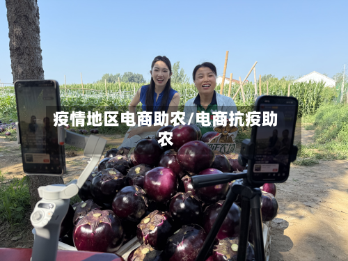 疫情地区电商助农/电商抗疫助农
