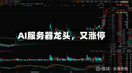 AI服务器龙头，又涨停-第3张图片