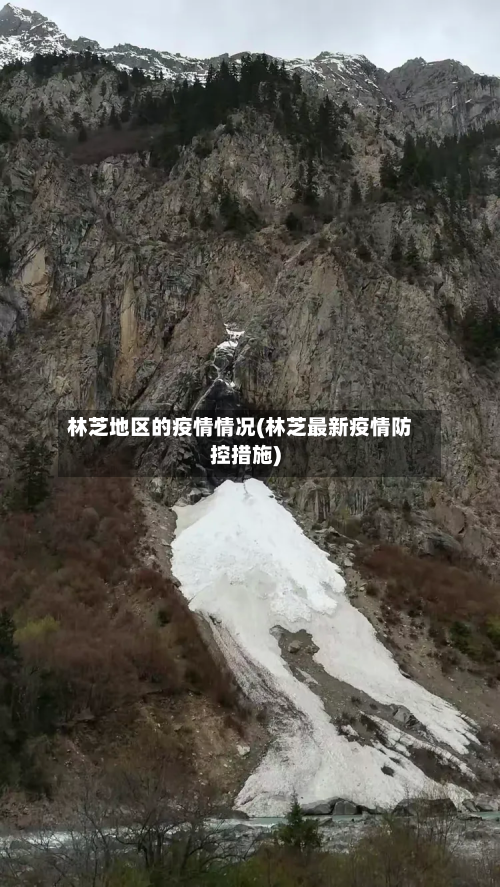 林芝地区的疫情情况(林芝最新疫情防控措施)-第2张图片