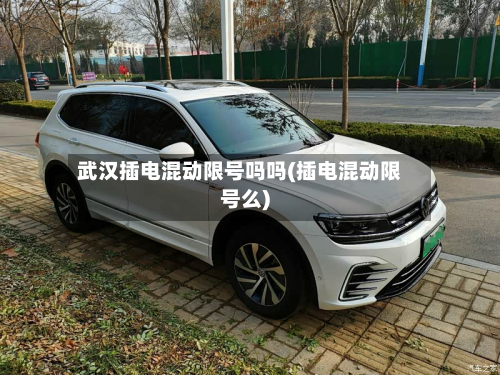 武汉插电混动限号吗吗(插电混动限号么)-第3张图片