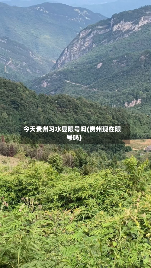 今天贵州习水县限号吗(贵州现在限号吗)-第2张图片