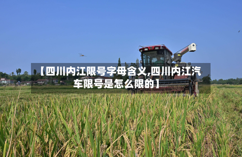 【四川内江限号字母含义,四川内江汽车限号是怎么限的】