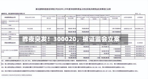 昨夜突发！300020，被证监会立案-第3张图片
