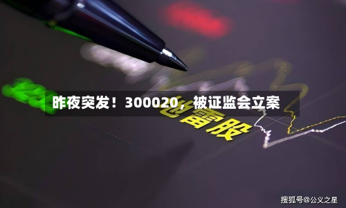 昨夜突发！300020	，被证监会立案-第2张图片