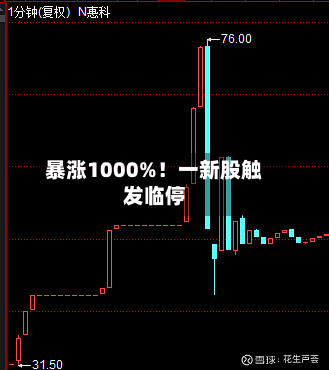 暴涨1000%！一新股触发临停