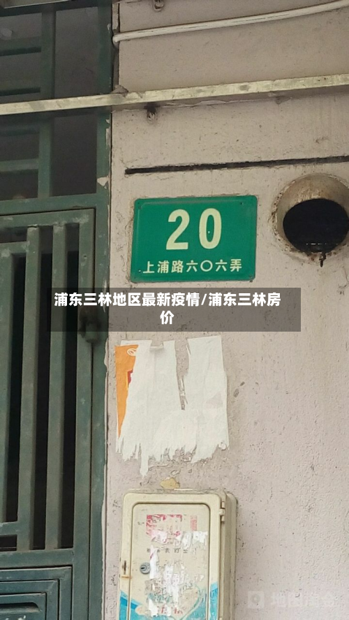 浦东三林地区最新疫情/浦东三林房价