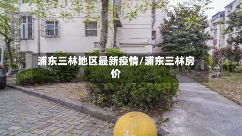 浦东三林地区最新疫情/浦东三林房价-第2张图片