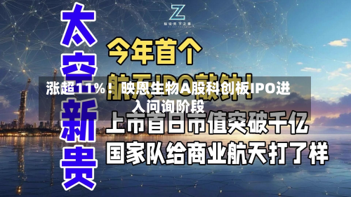 涨超11%！映恩生物A股科创板IPO进入问询阶段