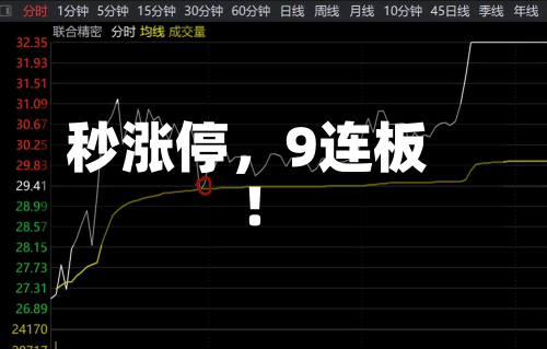 秒涨停，9连板！-第2张图片