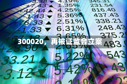 300020	，再被证监会立案-第2张图片