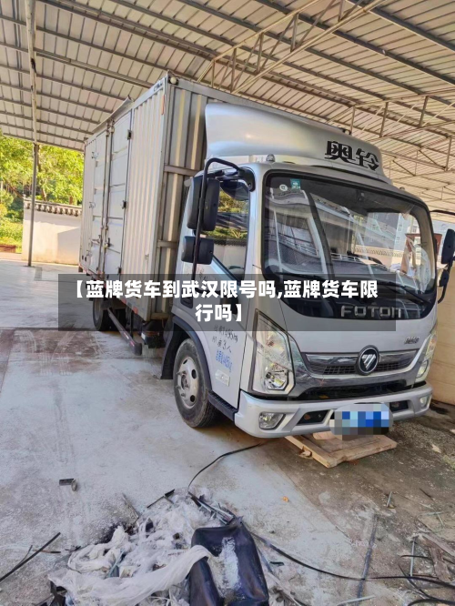 【蓝牌货车到武汉限号吗,蓝牌货车限行吗】-第3张图片
