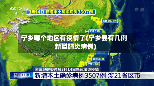 宁乡哪个地区有疫情了(宁乡县有几例新型肺炎病例)-第2张图片