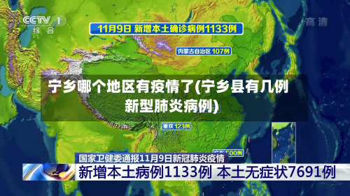 宁乡哪个地区有疫情了(宁乡县有几例新型肺炎病例)-第1张图片
