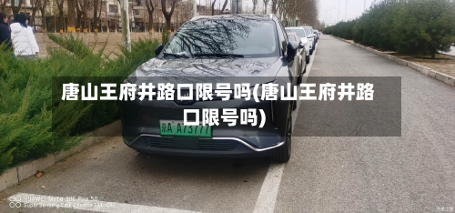 唐山王府井路口限号吗(唐山王府井路口限号吗)-第1张图片