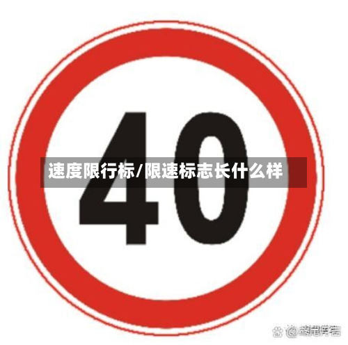 速度限行标/限速标志长什么样