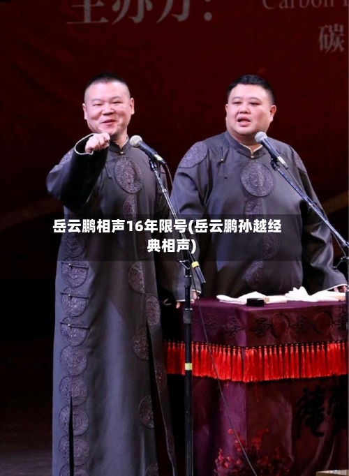 岳云鹏相声16年限号(岳云鹏孙越经典相声)