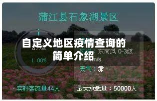 自定义地区疫情查询的简单介绍