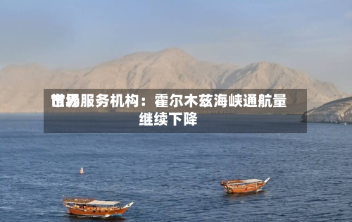 世界市场服务机构：霍尔木兹海峡通航量继续下降-第1张图片