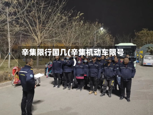 辛集限行国几(辛集机动车限号)