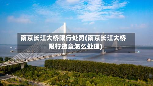 南京长江大桥限行处罚(南京长江大桥限行违章怎么处理)