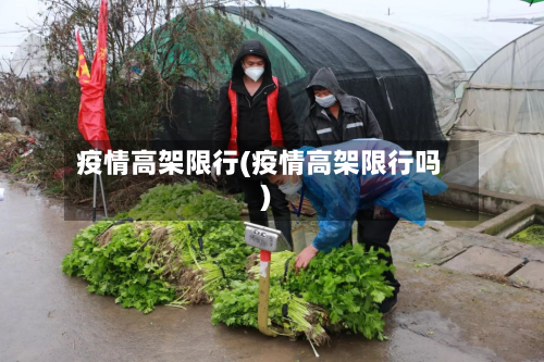 疫情高架限行(疫情高架限行吗)-第2张图片