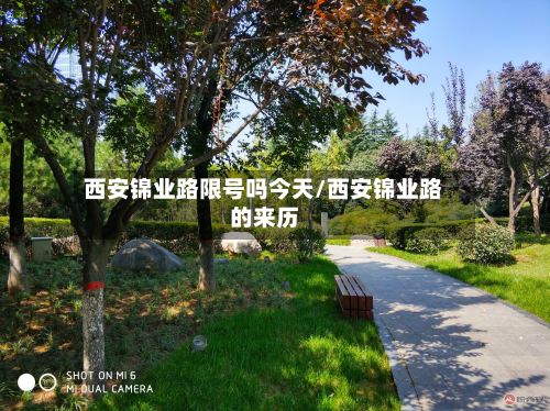 西安锦业路限号吗今天/西安锦业路的来历-第1张图片