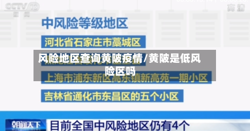风险地区查询黄陂疫情/黄陂是低风险区吗-第2张图片