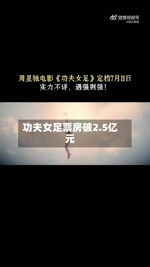 功夫女足票房破2.5亿元-第1张图片
